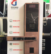 大同指纹锁
